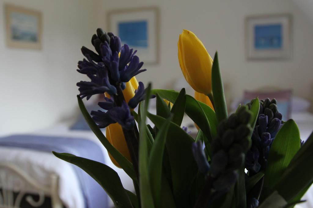 Sunny Cottage Maidenhead Zimmer foto